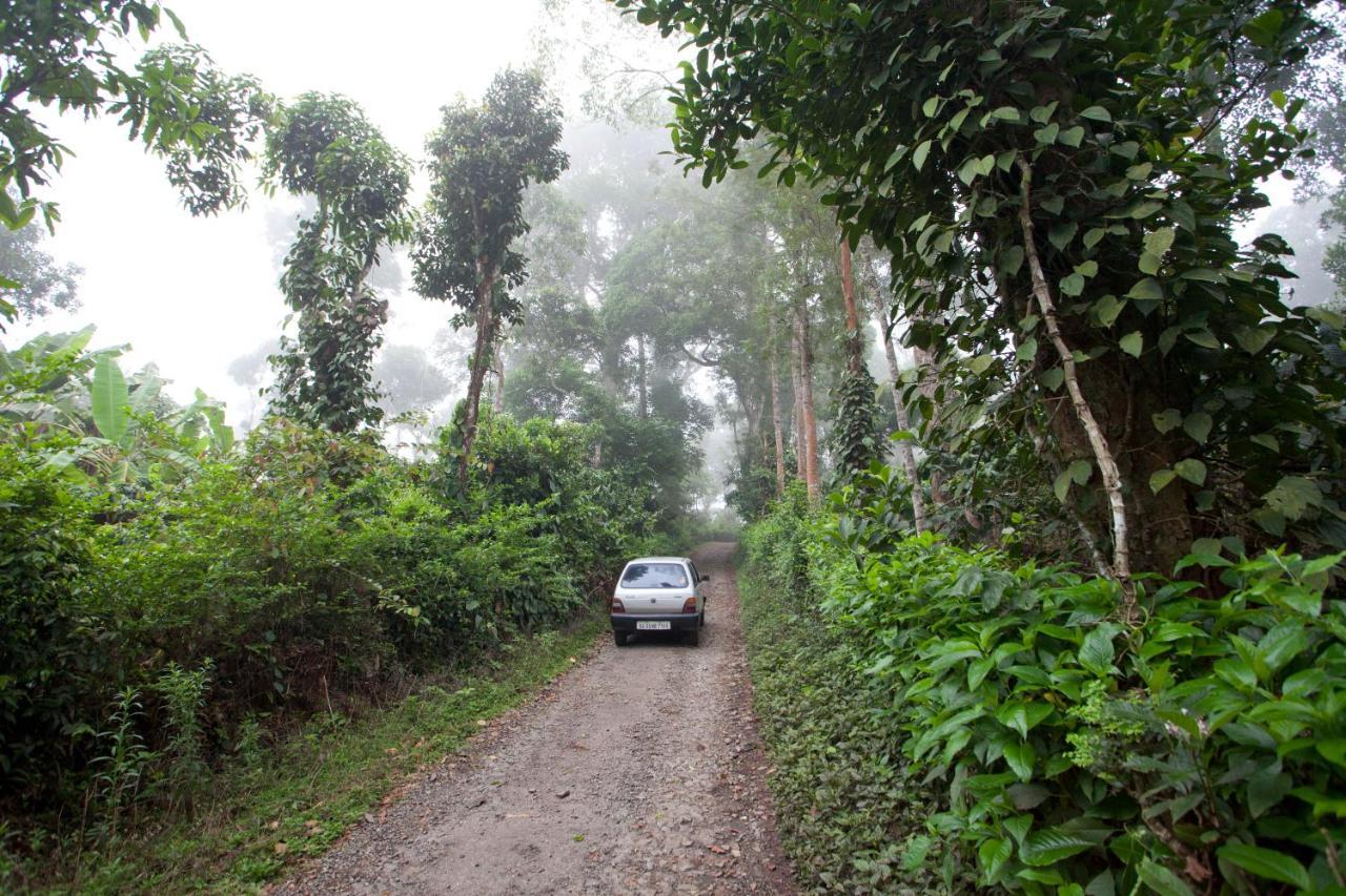 The Blue Mountains Estate Stay Madikeri Exterior photo